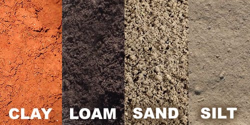 What's The Best Type of Soil For Plants?