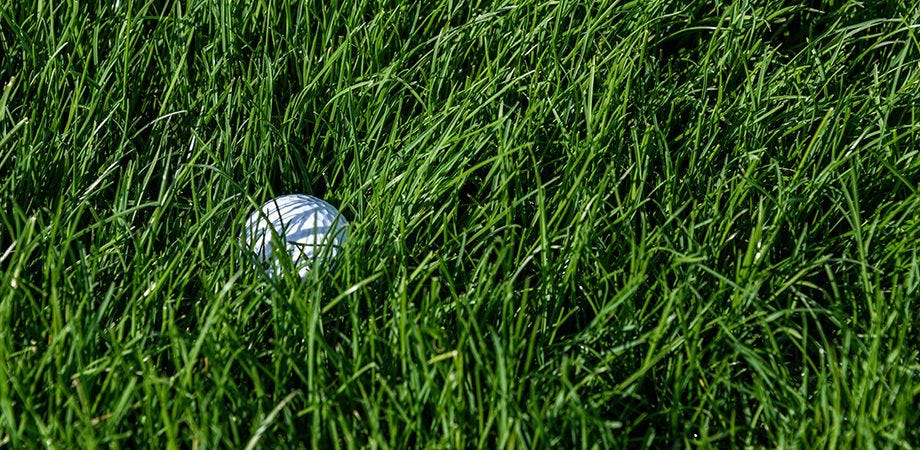 A white ball in the grass

Description automatically generated