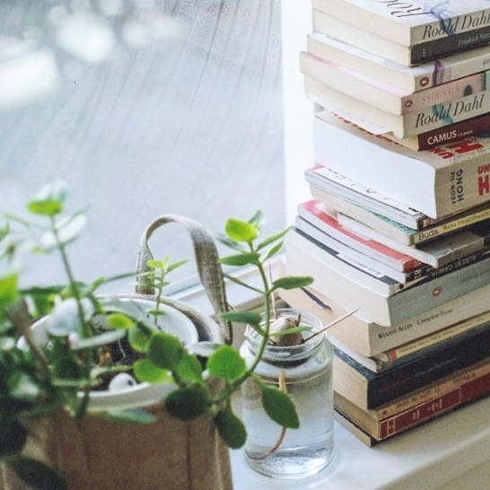 assorted-title book lot beside window