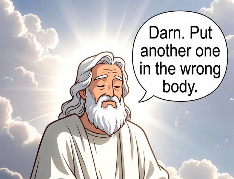 Gender Dysphoria: Warning Signs of A Growing Medical and Legal Dilemma