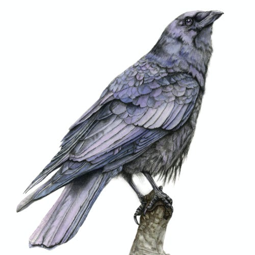 Unfinished Sketchbook