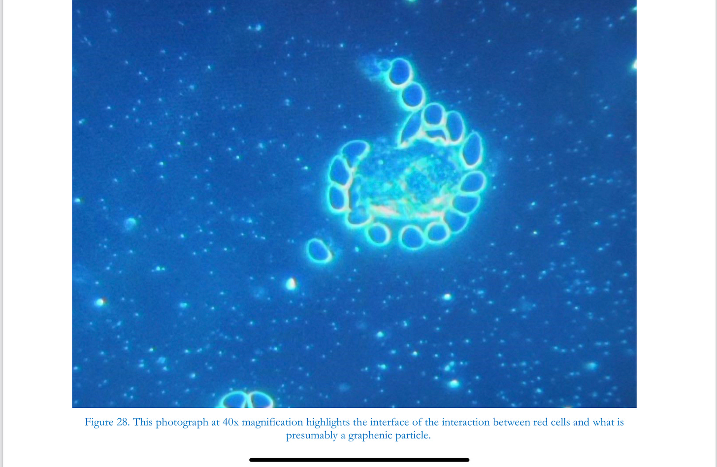 Image_4.png