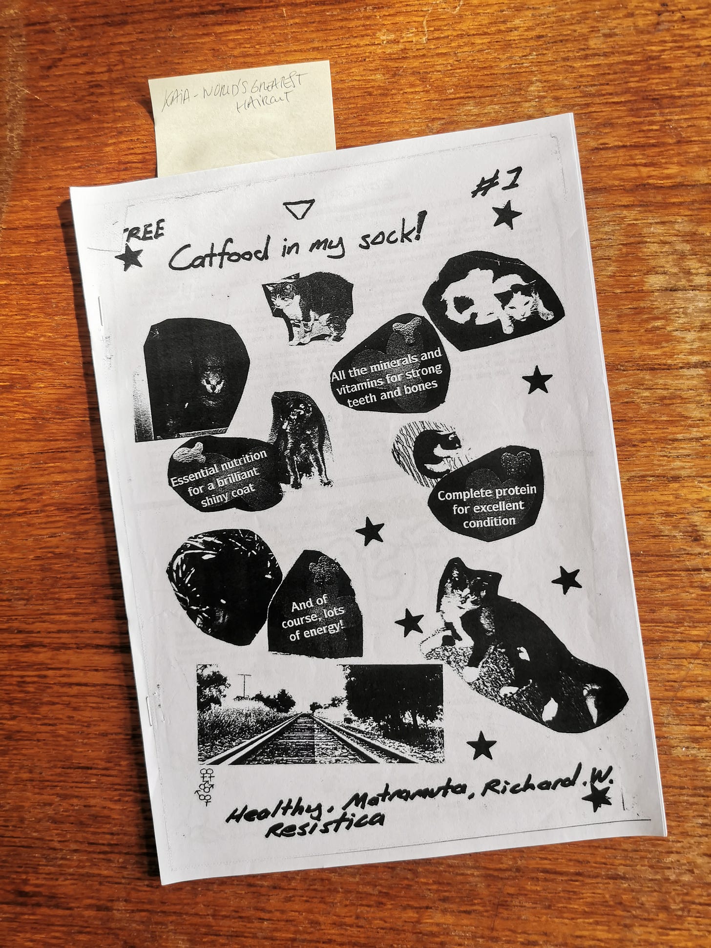 Cover of Catfood in my sock from 1998