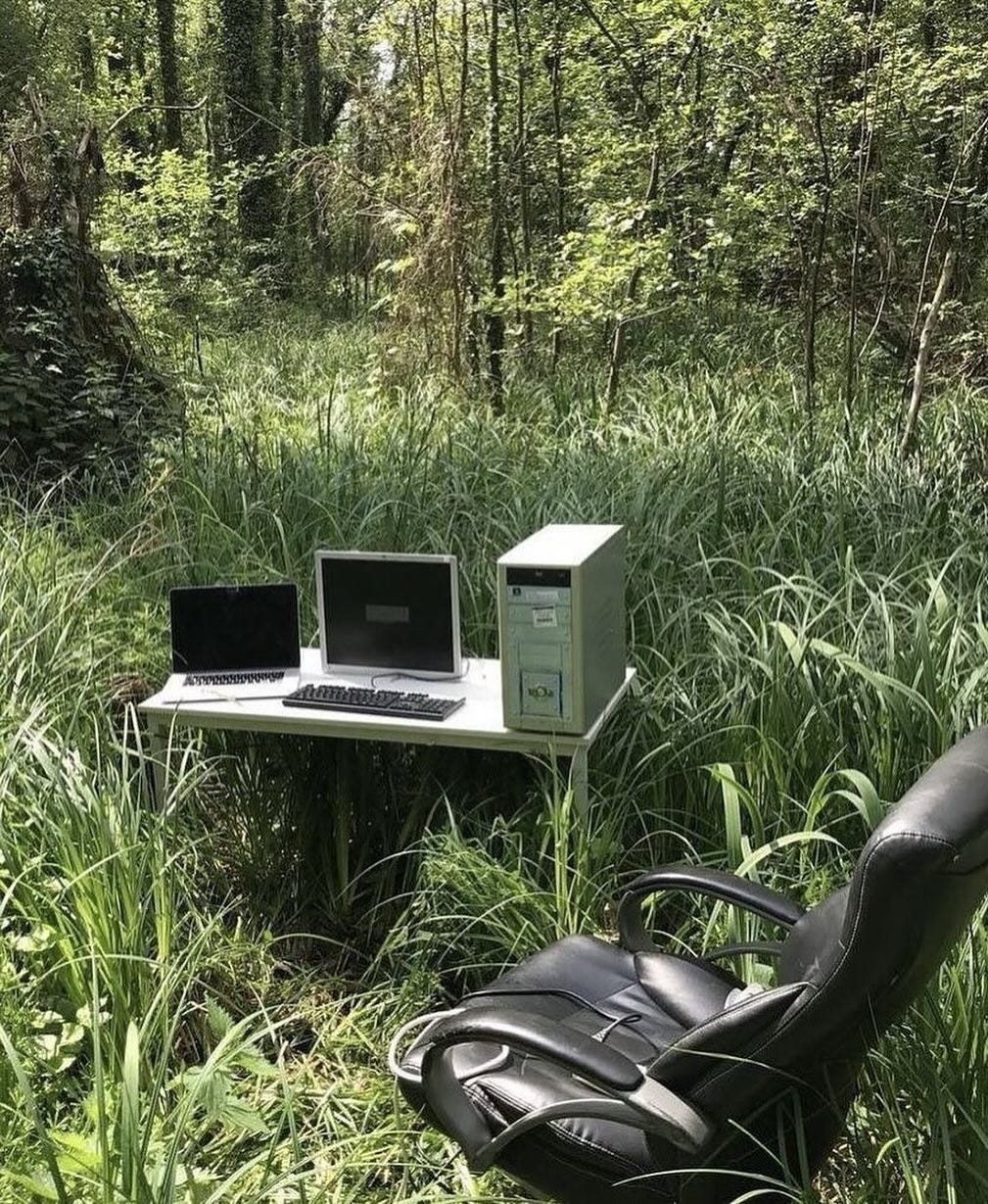 An Instagram  post added by sanstitre on Apr 25, 2024. The author is @liminal.anxiety. May present: grass, personal computer, plant, computer, plant community.