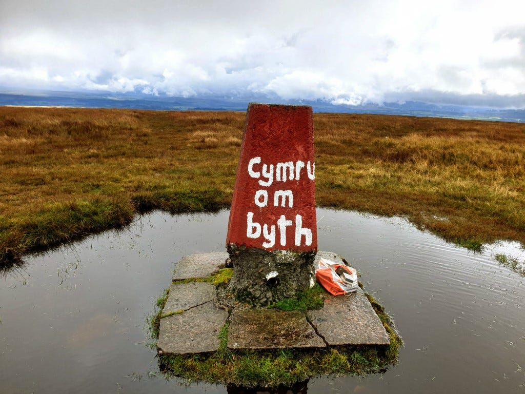 "Cymru am byth" - "Long live Wales"