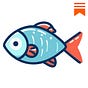 Small Pond Fish's avatar