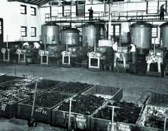 The press room of the Althouse Azo Dye Manufacturing Plant, Reading, Pa., in 1946. Dyes were among the first substances investigated for pharmaceutical activity