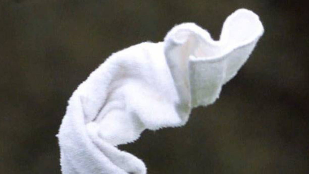 Throw In The Towel Quit at Mattie Delgado blog