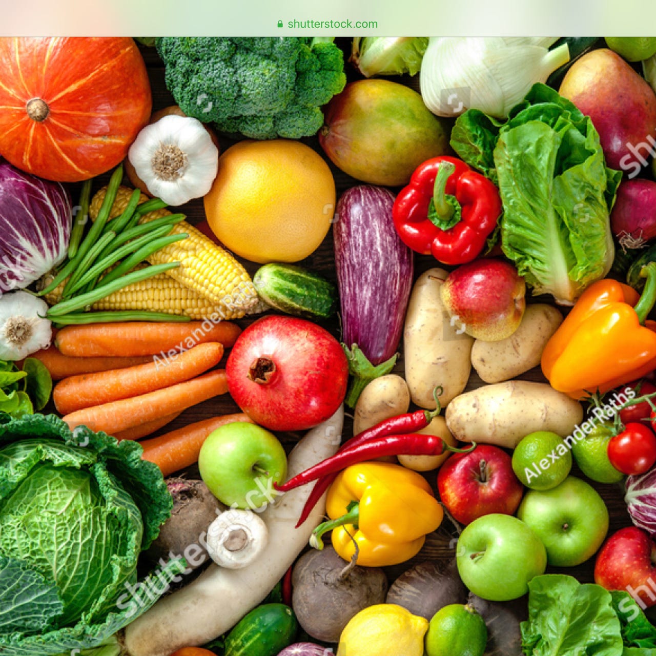 Seniors Stop Food Addiction