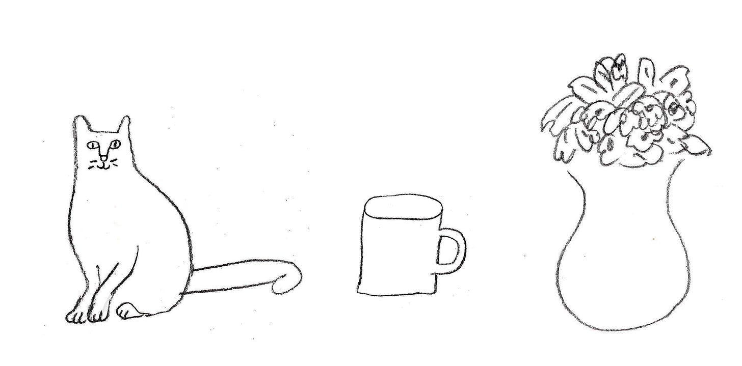 cat cup and plant illustrations cat cup and plant illustrations