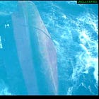 UK-Owned Bulk Carrier Sunk By Houthi Missile, Italian Warship Shoots Down Missile, Chemical Spill Presents Environmental Hazard
