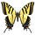 The Swallowtail 