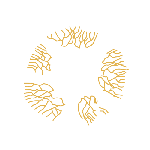 The Bio-Leadership Project