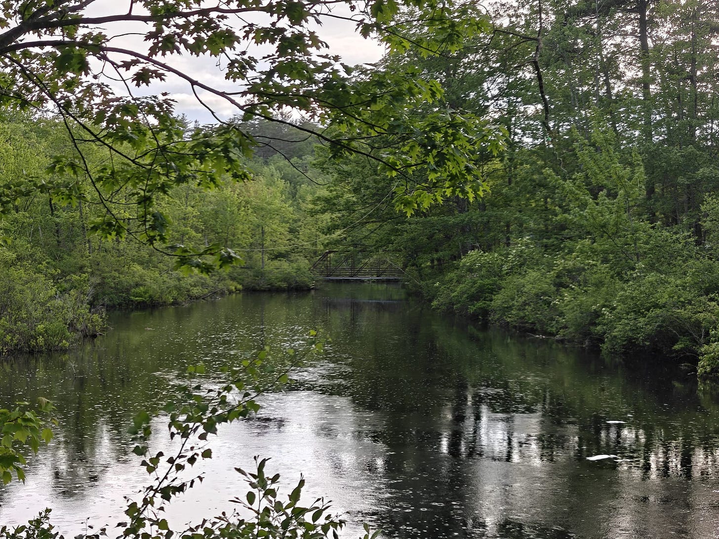 A Trek Along the Cocheco Railroad