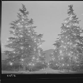 The December Specials