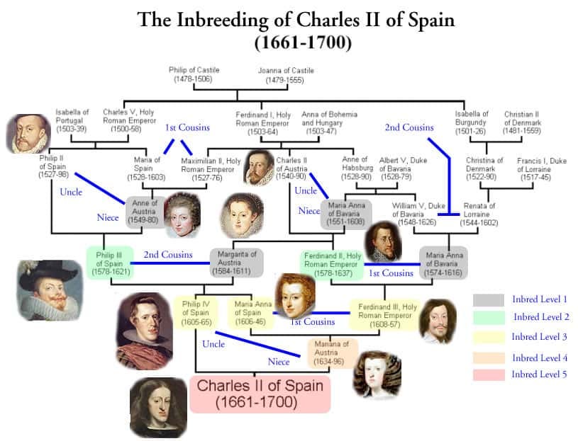 40 Odd Facts About the Inbred King Charles II of Spain