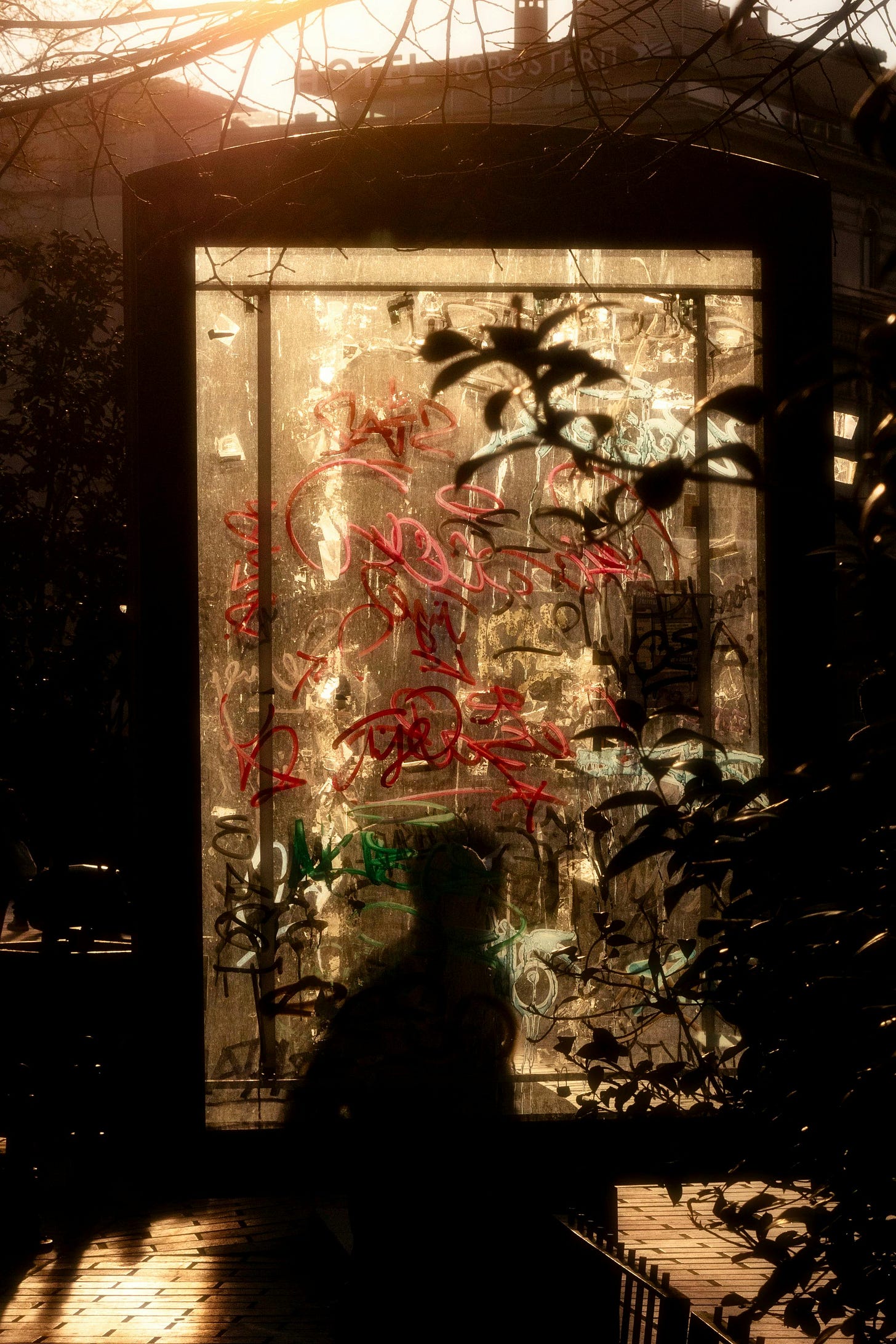 A Letter for the Searching Soul. A newsletter for the ones who are still asking