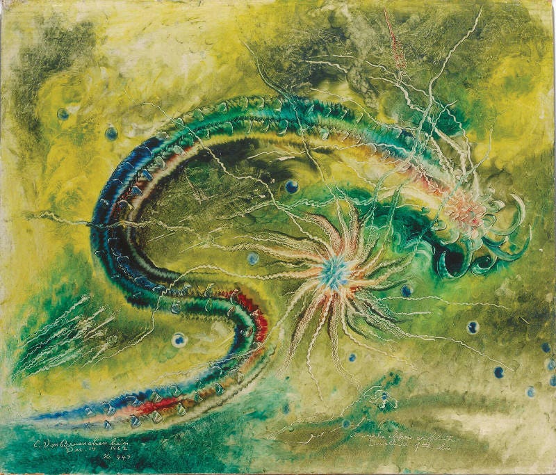 Animals Appear as Plants--Dwellers of the Sea – Works – American Folk Art  Museum