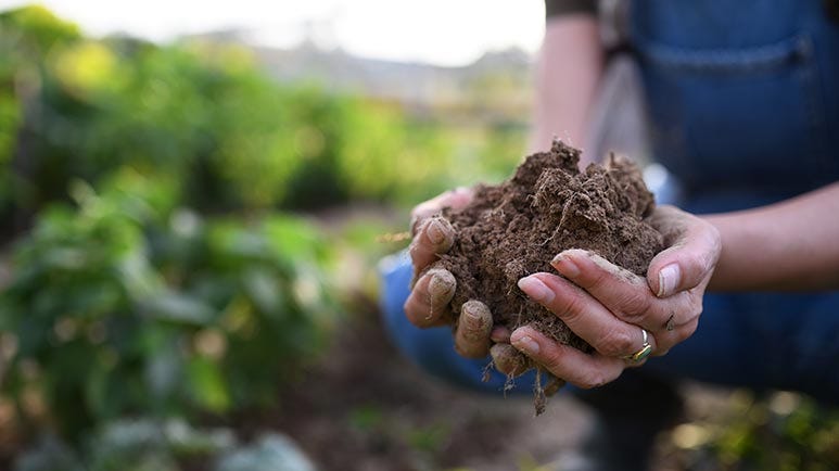 top reasons to support regenerative agriculture