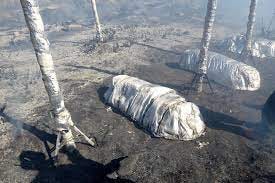 How to Make Sure Wildfire Shelters Save Firefighters' Lives - Scientific  American