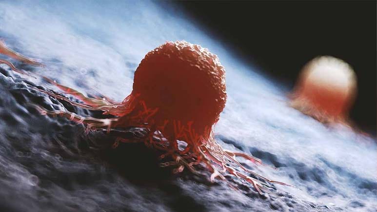 cancer cases prevention