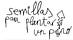 Semillas para plantar un pino