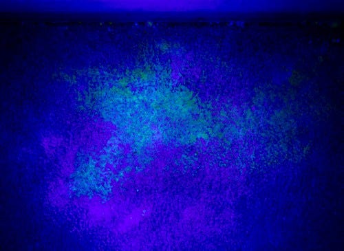 Legend Brands | UV Light and Urine