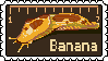 A series of animated stamps, first one is of a poorly drawn bug. The second is a face with bloodshot eyes and the words "eye strain". The third is a banana slug with the words "banana for scale"