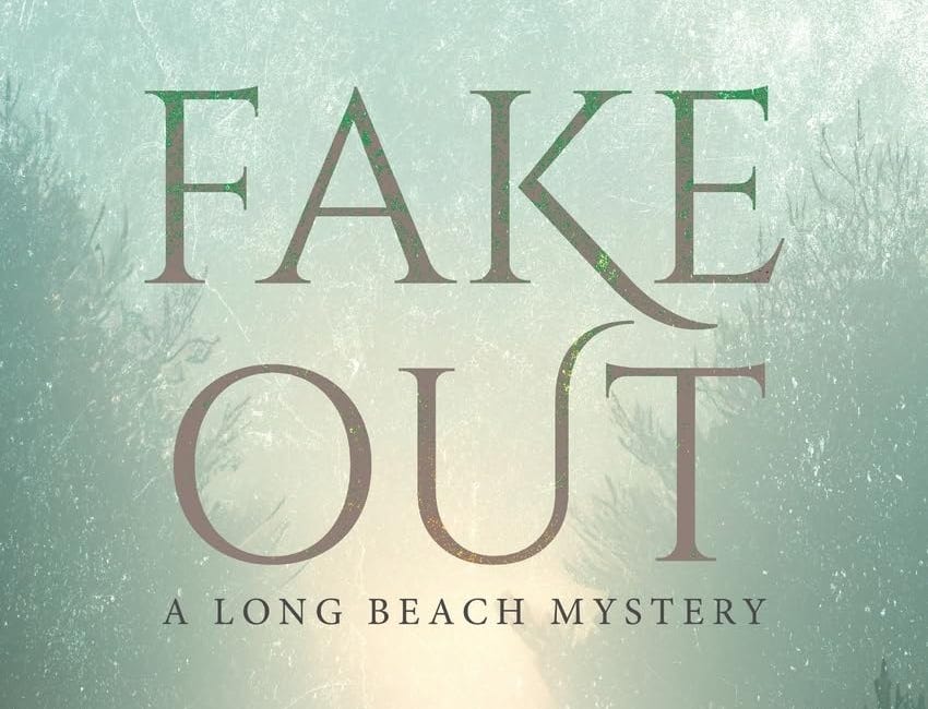 Fake Out: A Long Beach Mystery by Faye Bayko