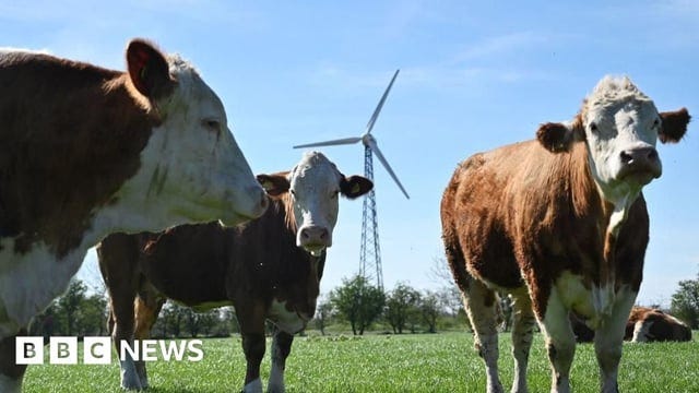r/OptimistsUnite - Denmark Agrees to Tax Cows, Plant 1 Billion Trees to Save Millions of Tons of CO₂