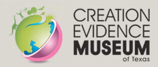 Creation for Dummies