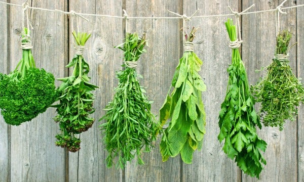 10 fines herbes pour ajouter du goût à vos plats | Trucs pratiques