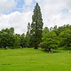 123. Kendal Rocket