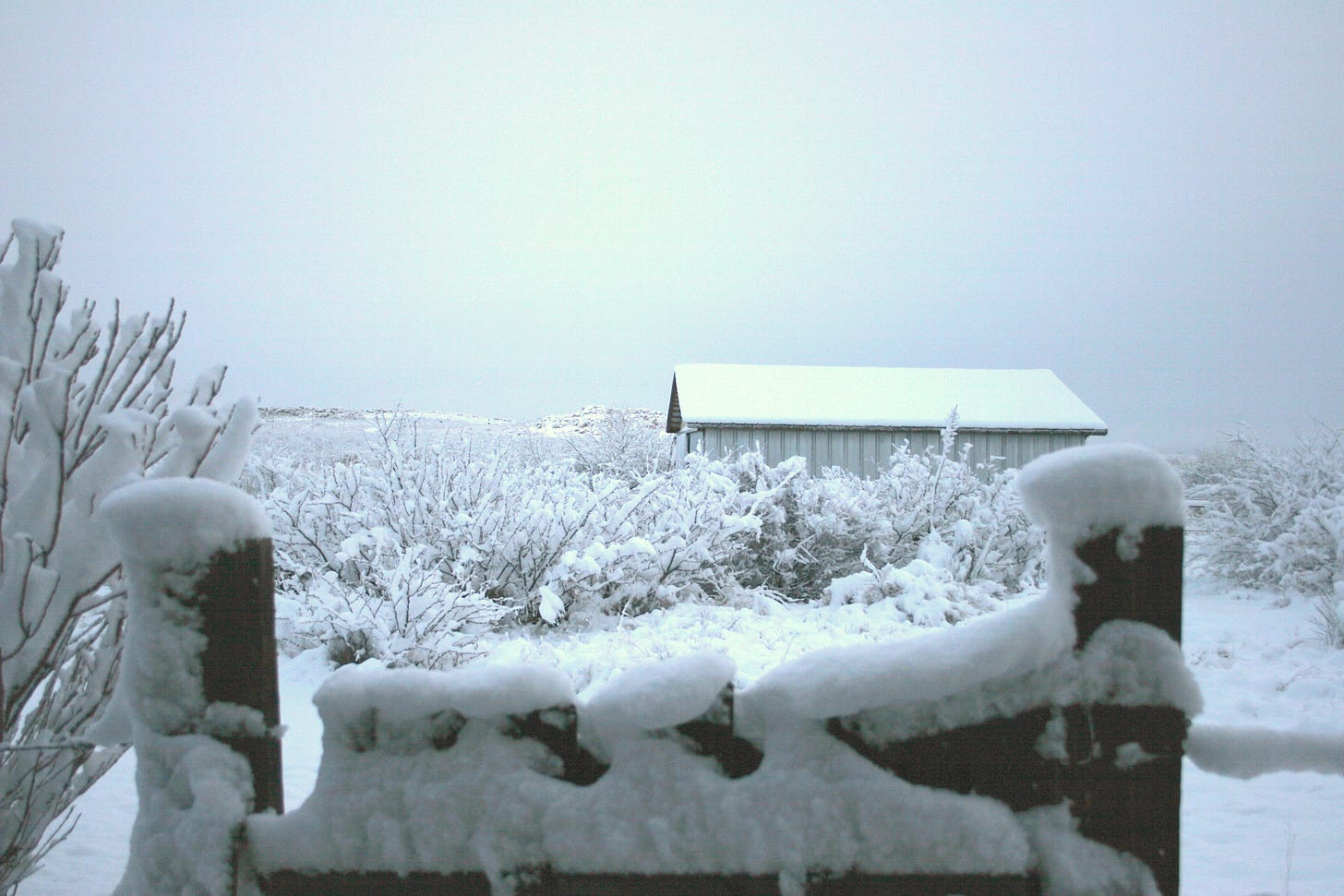 Gate and barn covered in snow