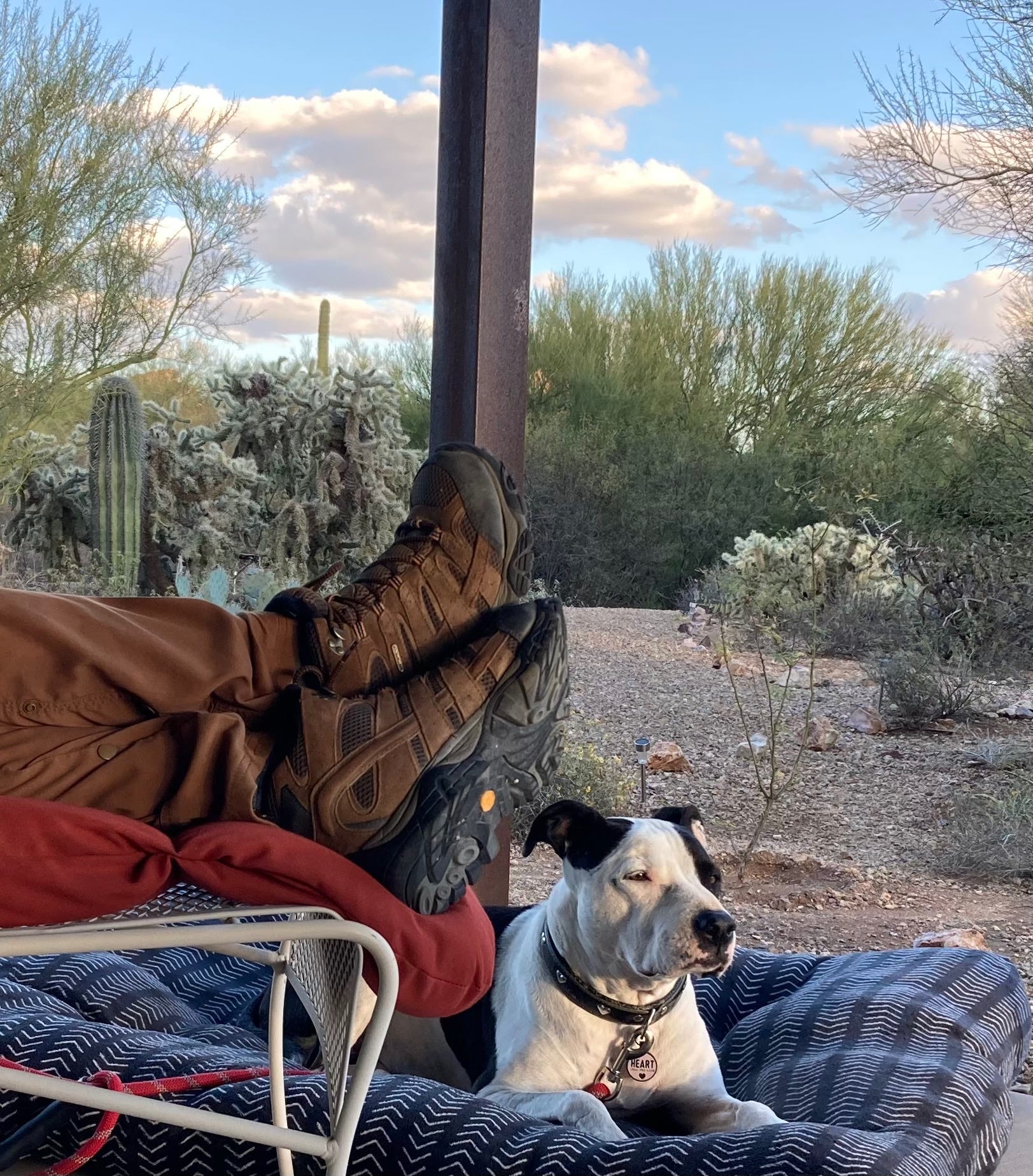 Letter From the Desert: Goodbye