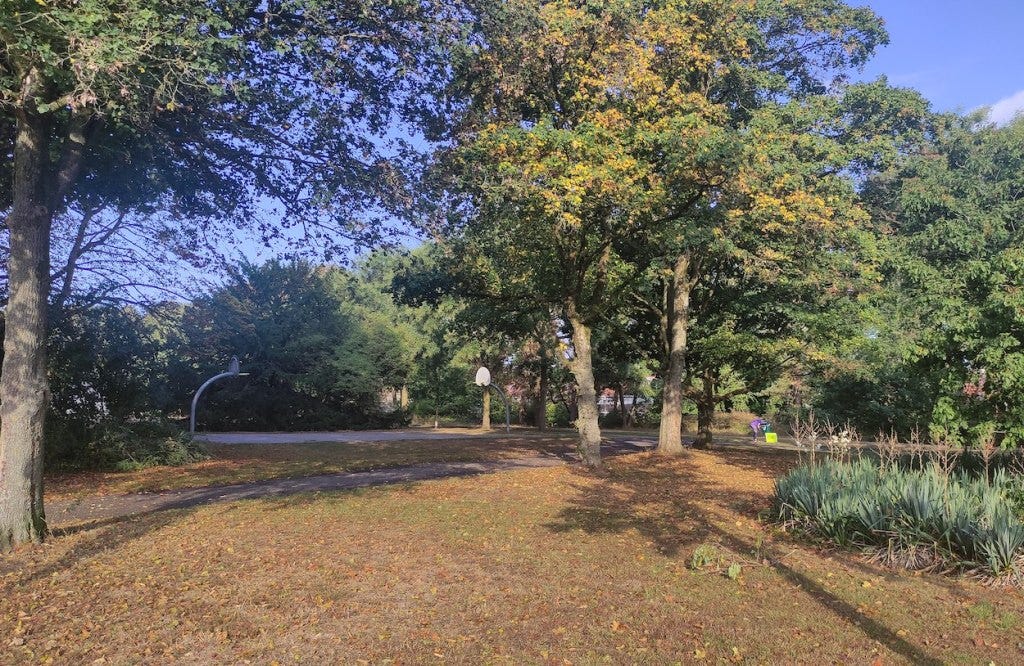 Brown on the ground, green in the trees, with a small basketball court to one side of the path. The start sign is off in the distance.