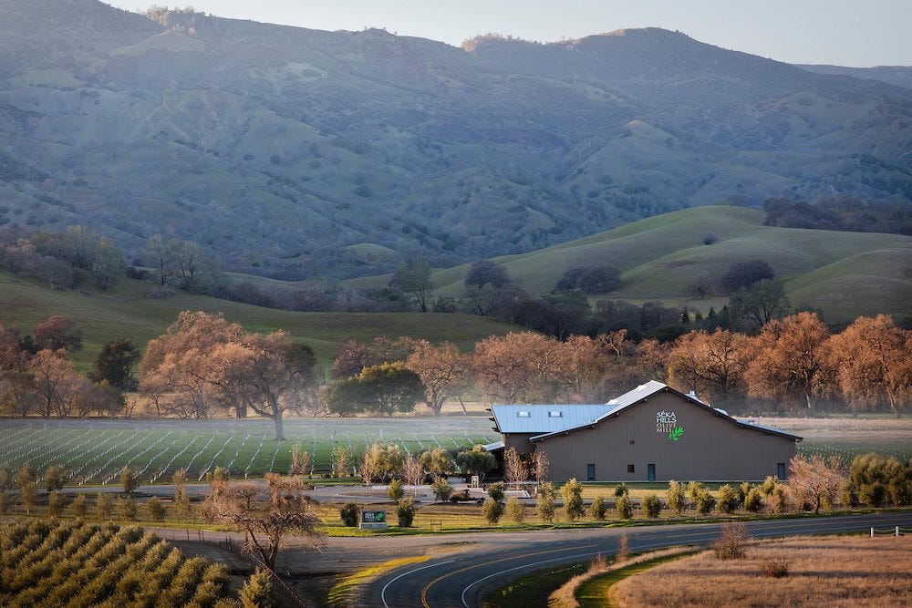 Visit Yolo || The Seka Hills Story: Building A Legacy