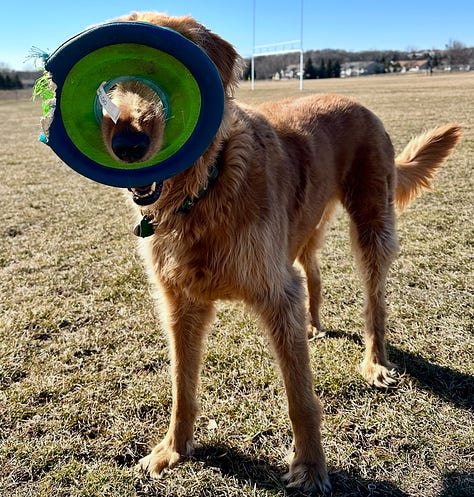 Images of Jordy through the last decade