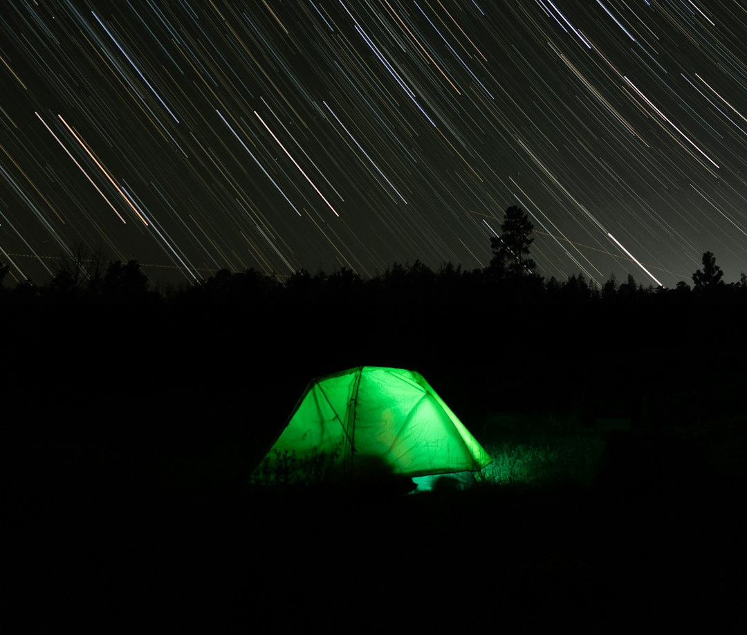a green tent sitting in the middle of a field under a star filled sky