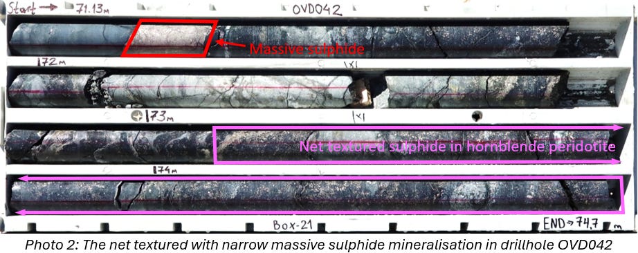 Drill core sample from hole OVD042 showing massive and net textured sulphide zones highlighted in red and purple boxes.