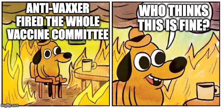 This is fine dog meme the first panel with the dog sitting in the cafe surrounded in flames, the caption reads anti-vaxxer fired the whole vaccine committee, the second panel caption says who thinks this is fine? This is fine dog meme the first panel with the dog sitting in the cafe surrounded in flames, the caption reads anti-vaxxer fired the whole vaccine committee, the second panel caption says who thinks this is fine?