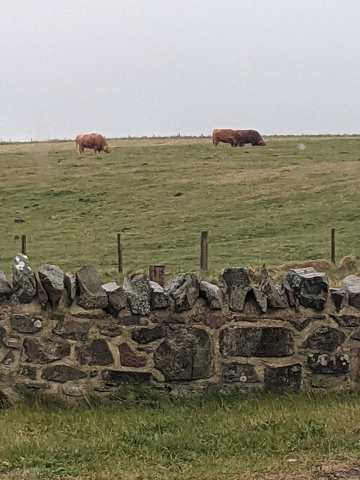 Scenes from my walk in The Borders, Scotland, in April 2021.