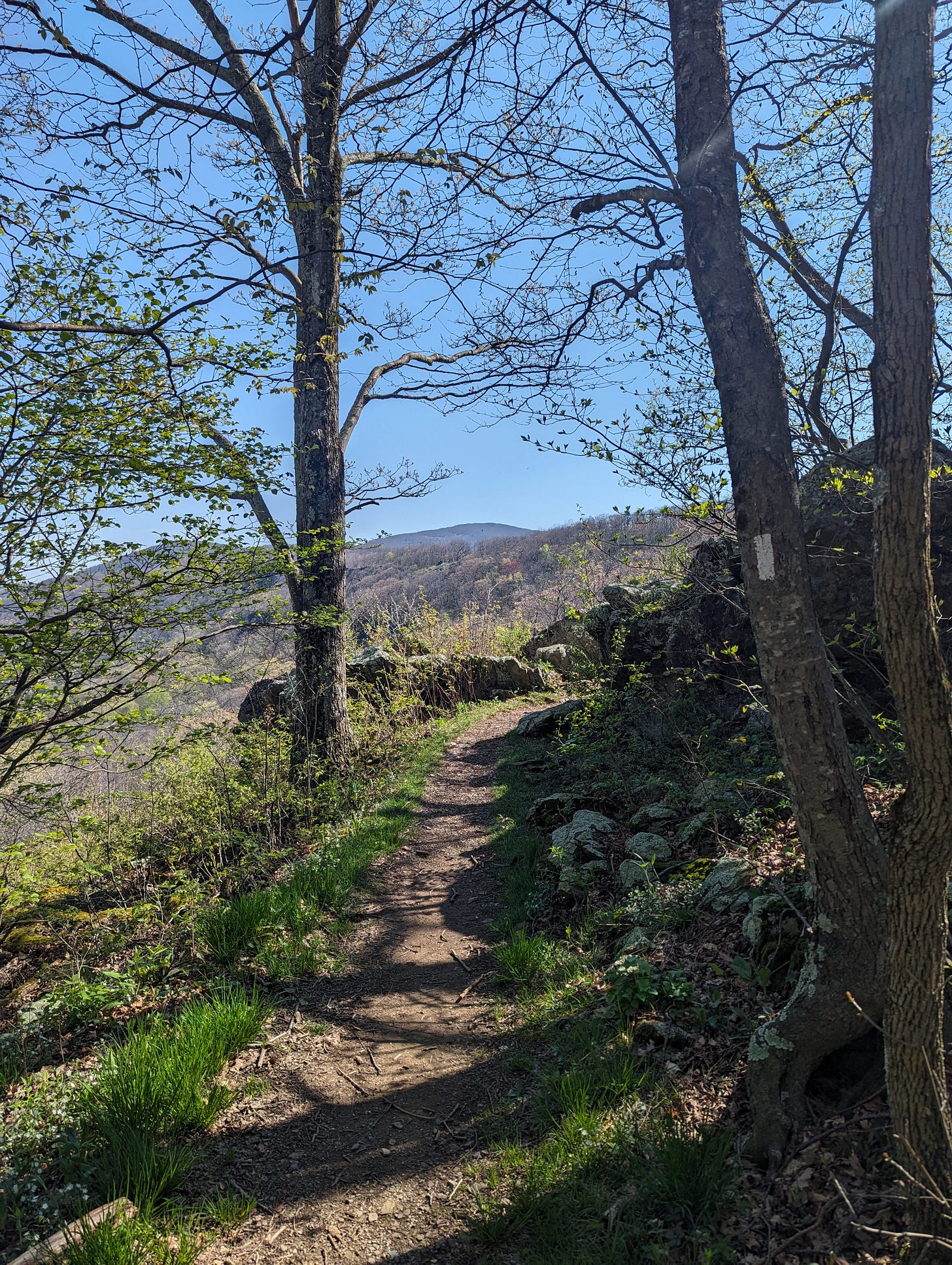 trees, mountain ridges along the Appalachian Trail