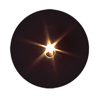 Light Shadow and Ink