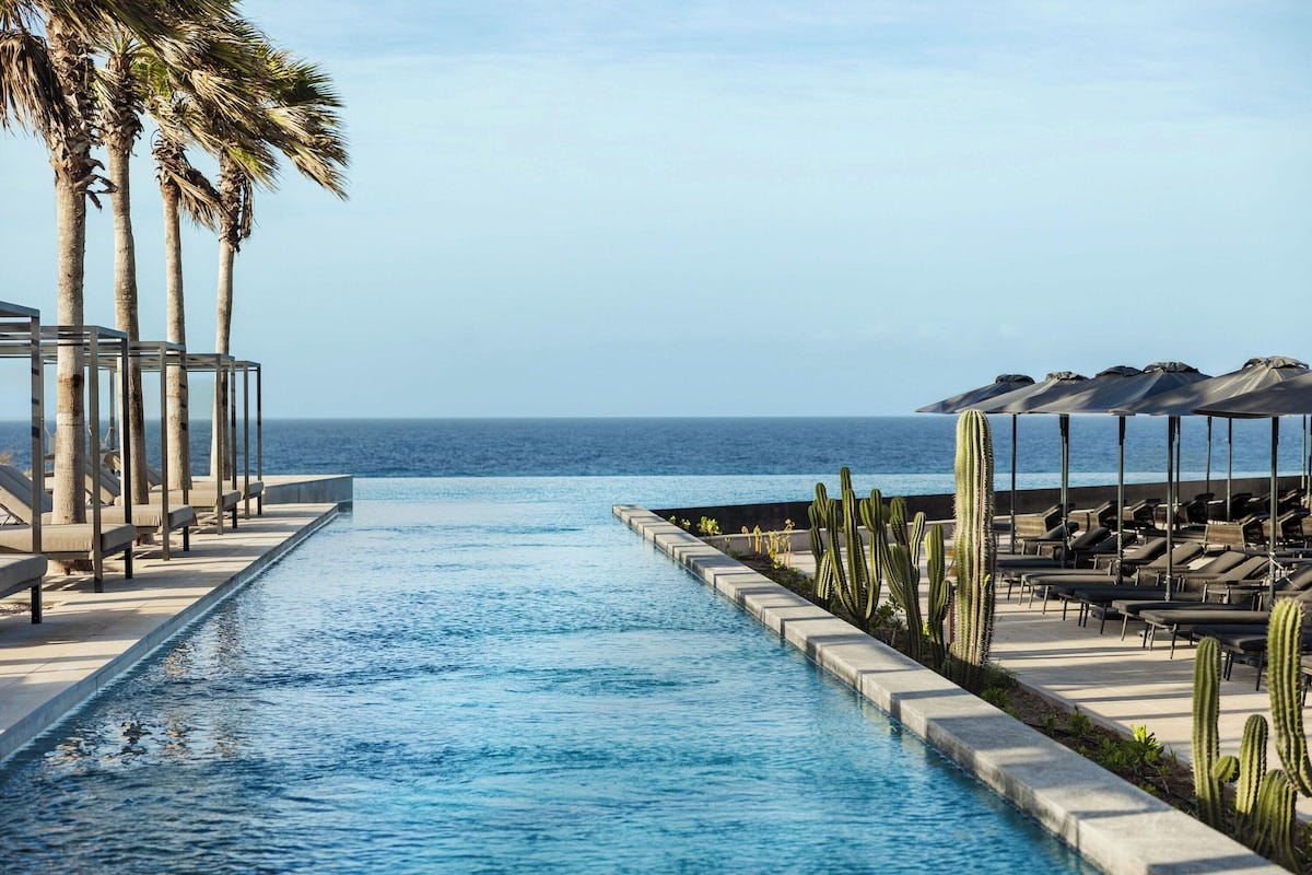 A pool with a view of the ocean, surrounded by palm trees and cacti, with lounge chairs and umbrellas. - Secrets Baby Beach Aruba Adults Only (San Nicolas Zuid)
