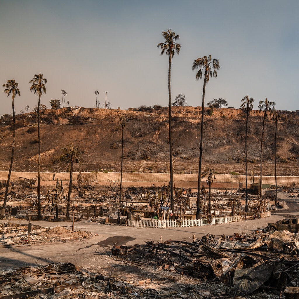 Charred remains of houses line a street.