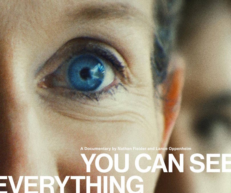 “You Can See Everything” and the nature of liars