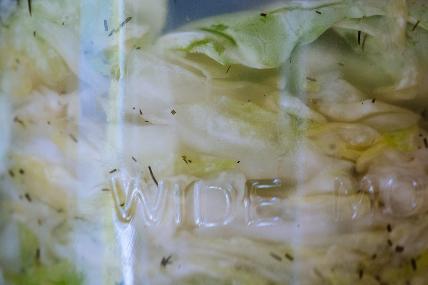 Sauerkraut in a jar Sauerkraut in a jar