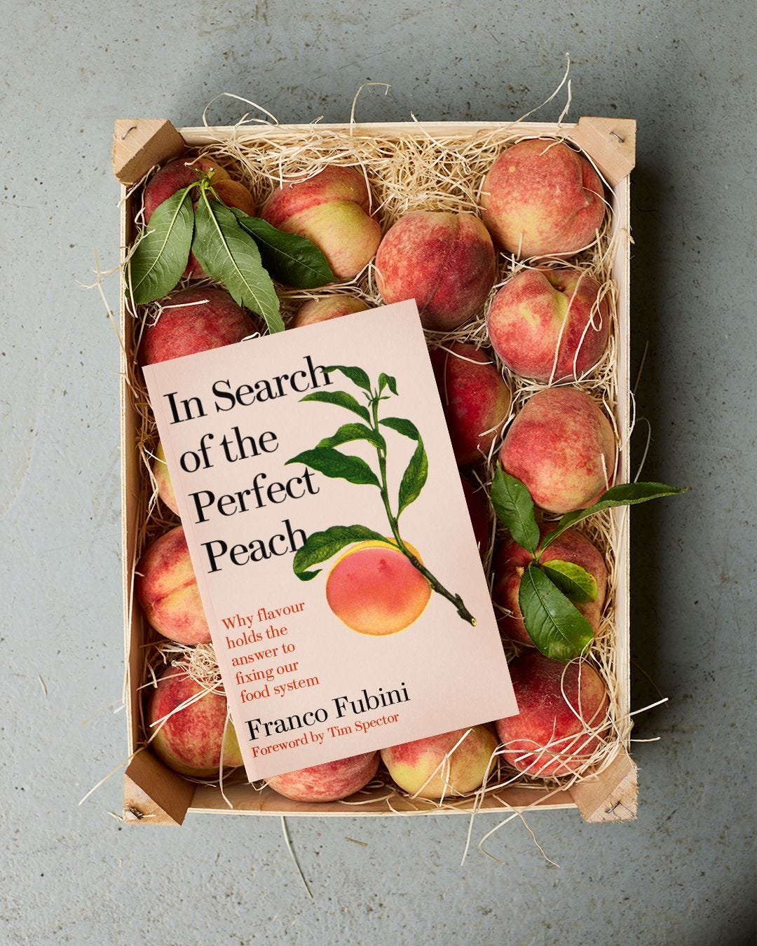 In Search of the Perfect Peach In Search of the Perfect Peach