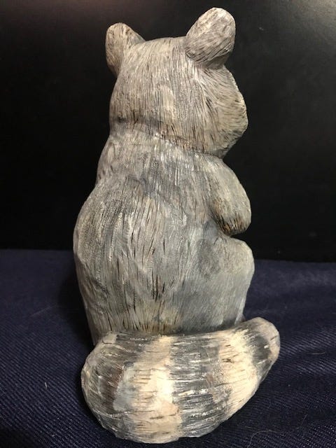 Raccoon by Janet Wolfinger